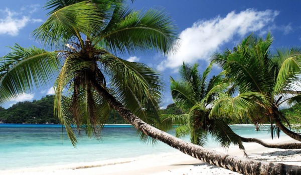 01CY00-IM1001-seychelles-1475