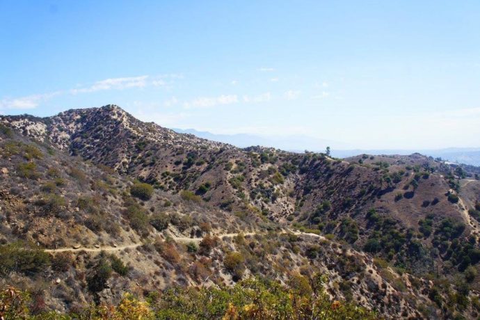 Immense Espace Vert Situe Au Coeur De Los Angeles