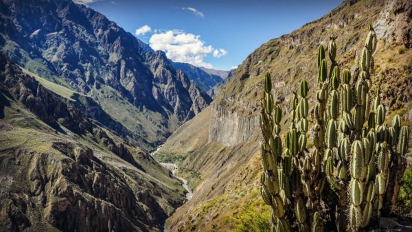 arequipa canyon de colca