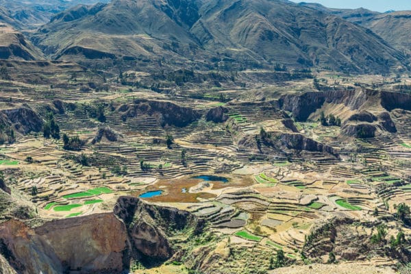 arequipa canyon de colca