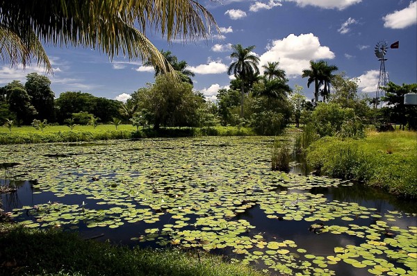 Ciénaga_de_Zapata