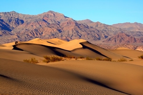 Mesquite_Sand_Dunes_in_Death_Valley