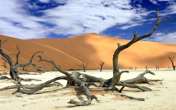 Namibia-Namib-Desert