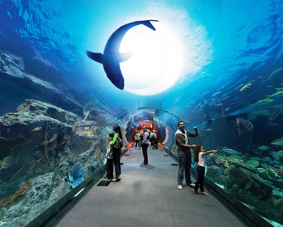 Ramdan-Tunel-Dubaï-Aquarium