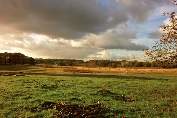 Richmond-Park-Londres-TourDuMonde_FR-3