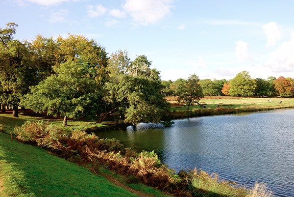 Richmond-Park-Londres-TourDuMonde_FR-4