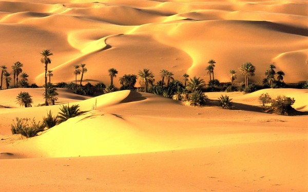 Thar-Desert-India