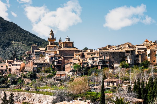 Valldemossa,_..._mossa..._(6895782022)