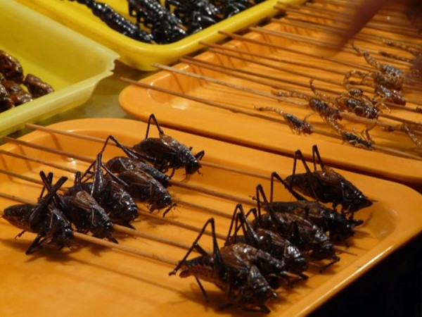 Wangfujing-market-insectes-pekin-2