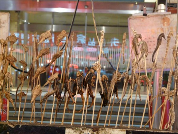 Wangfujing-market-insectes-pekin-5