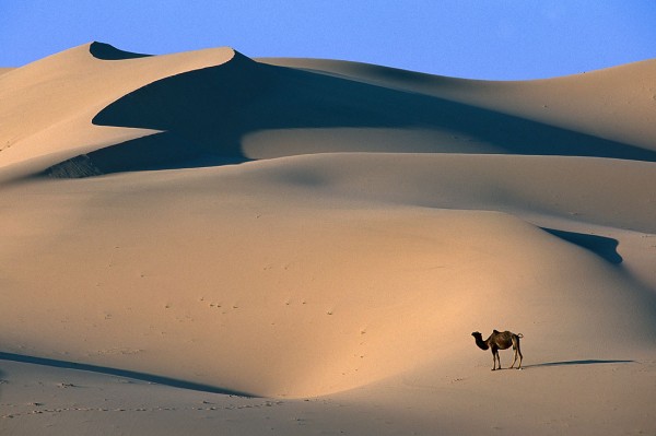 gobi_desert_wallpaper-other