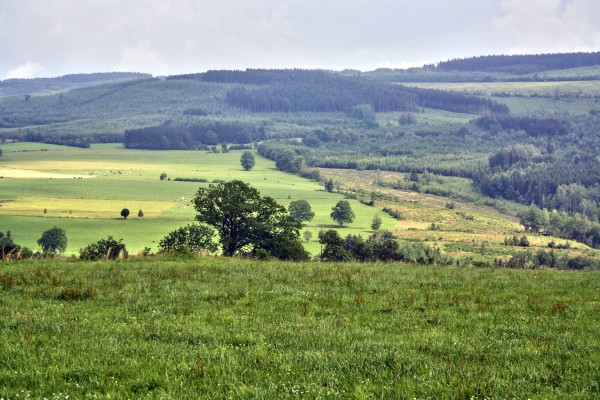 paysage-chevron