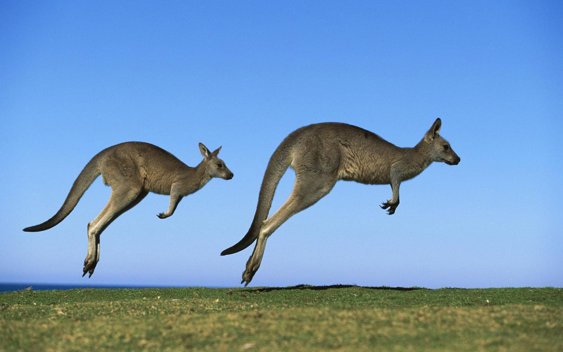 Australie L inoubliable Great Ocean Road TourDuMonde fr Blog Voyage
