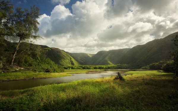 view-at-the-base-of-pololu-valley-big-island-hi--33409