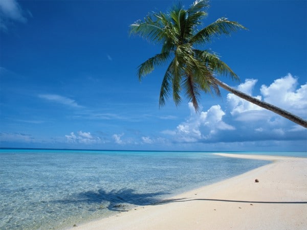zanzibar